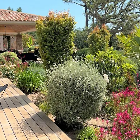 Pignotulli Di Cirendinu *